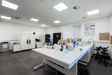 Construction du GCCD a l'IUT de Tarbes 023