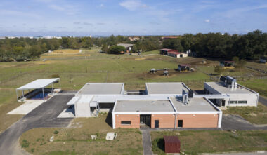Clinique bovine et blocs chirurgicaux Ecole Nationale Veterinaire a Toulouse 02