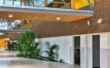 college francoise heritier 02