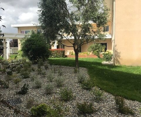aragon muret5