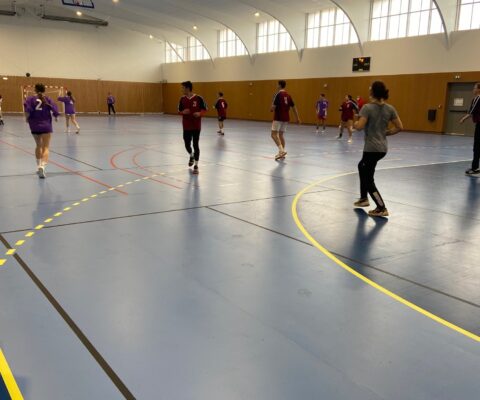 halle sportive2
