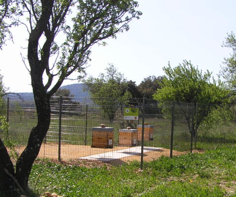 P1010052