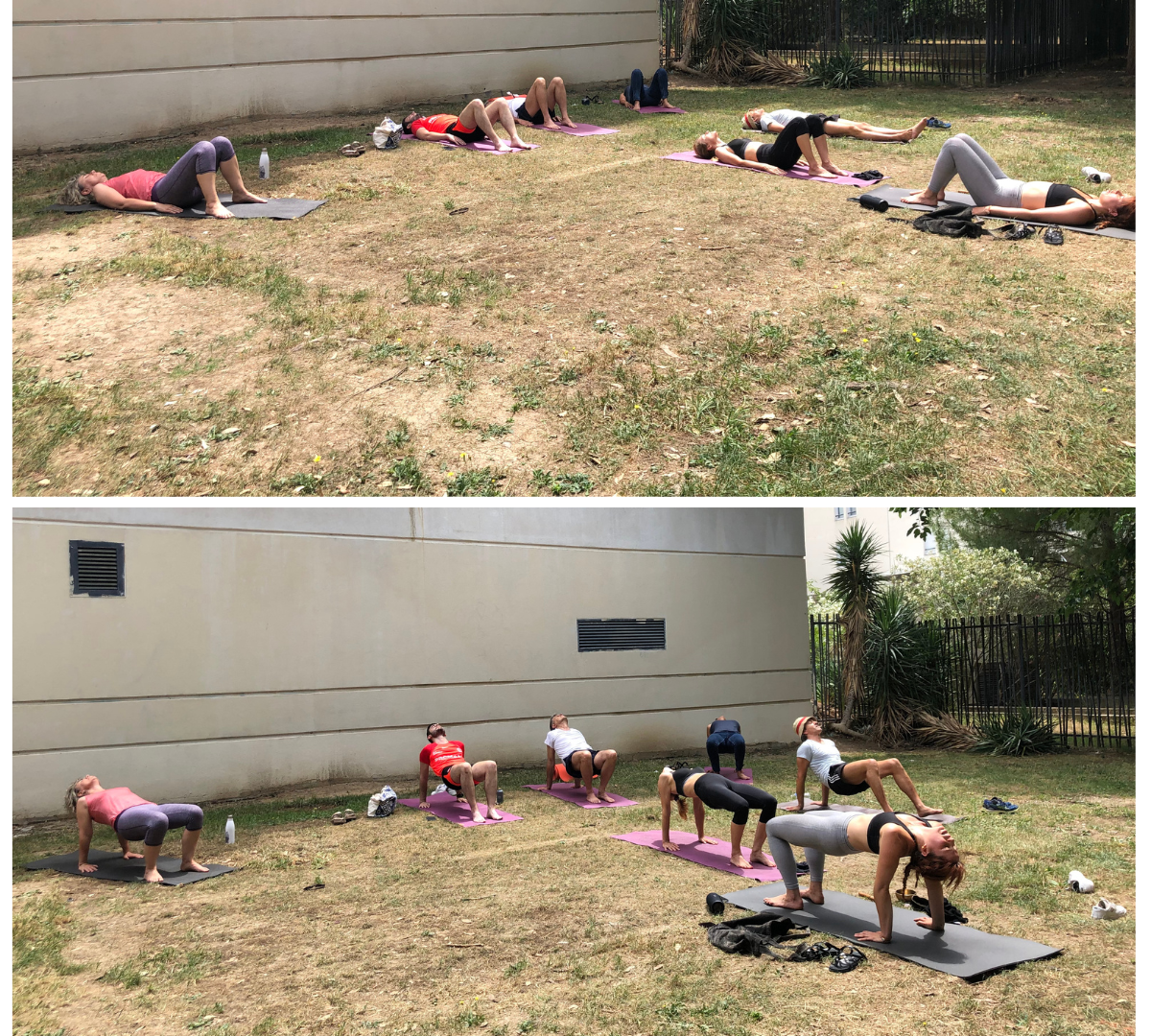 yoga2023ARAC