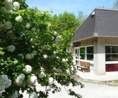 ig 1 29 centre tilleuls fleurs